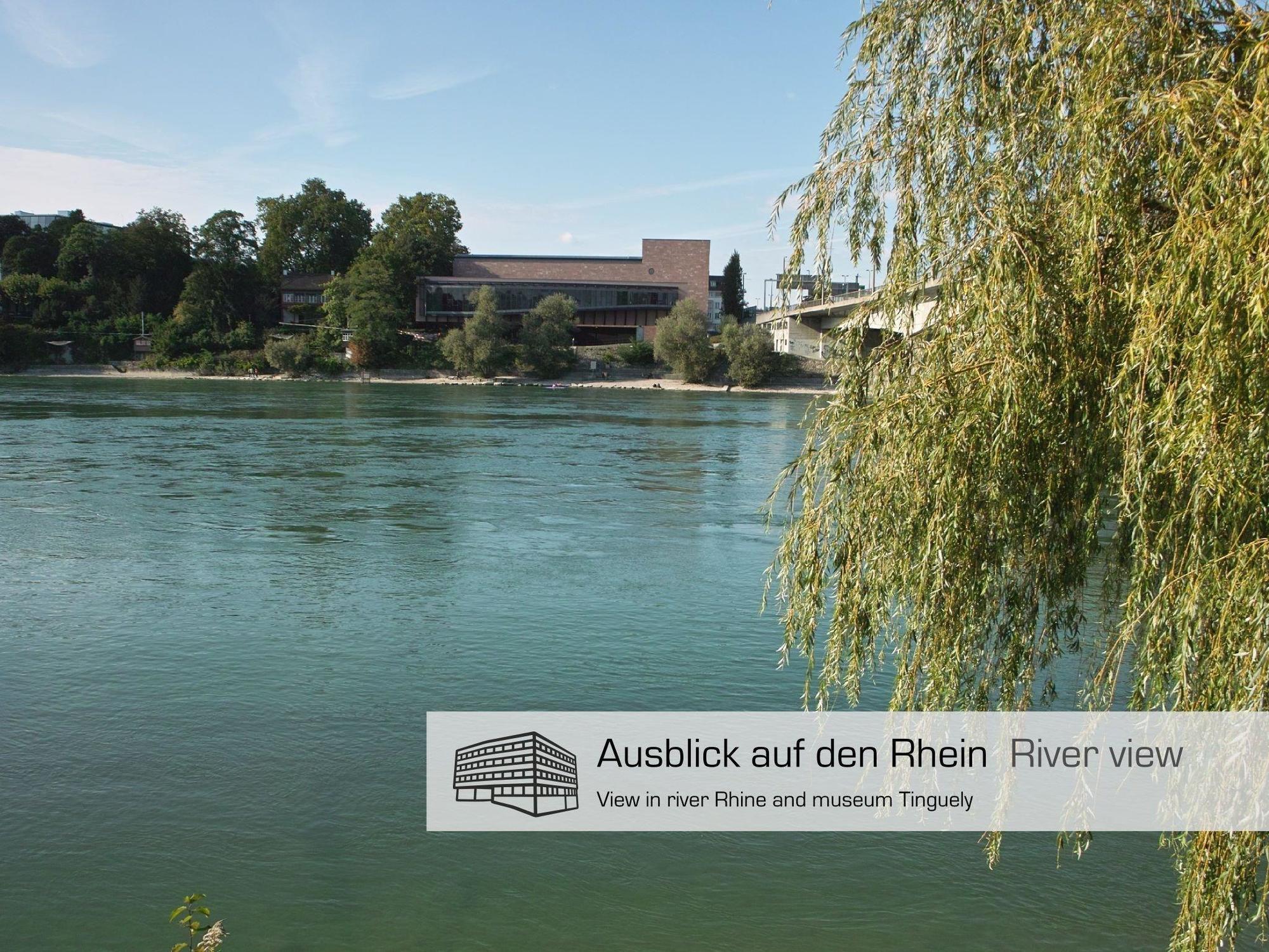 בזל Dasbreitehotel Am Rhein מראה חיצוני תמונה
